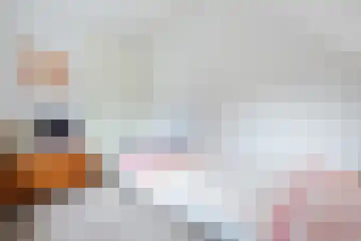 Ir. E. Biewingaweg 6 Witteveen thumbnail 25