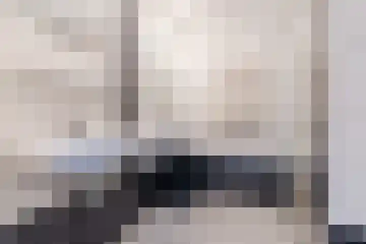 Ir. E. Biewingaweg 6 Witteveen thumbnail 29