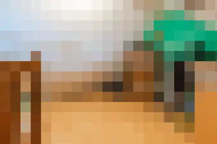 Ir. E. Biewingaweg 6 Witteveen thumbnail 33