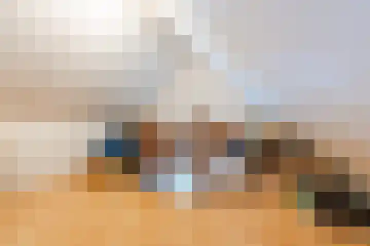 Ir. E. Biewingaweg 6 Witteveen thumbnail 34