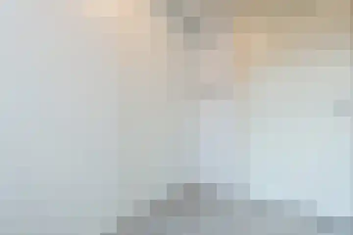 Ir. E. Biewingaweg 6 Witteveen thumbnail 36