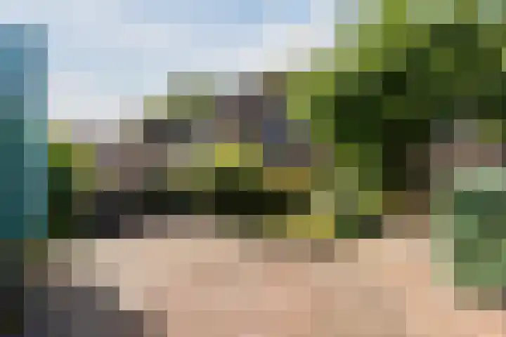Ir. E. Biewingaweg 6 Witteveen thumbnail 37