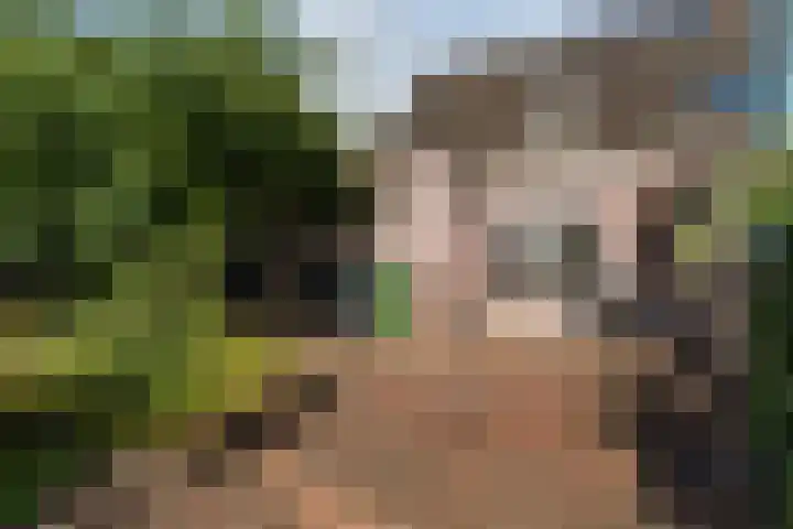 Ir. E. Biewingaweg 6 Witteveen thumbnail 38