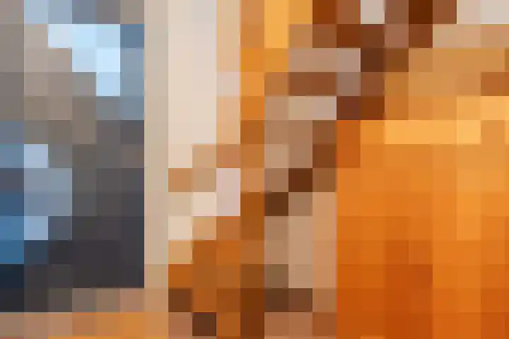 Ir. E. Biewingaweg 6 Witteveen thumbnail 4