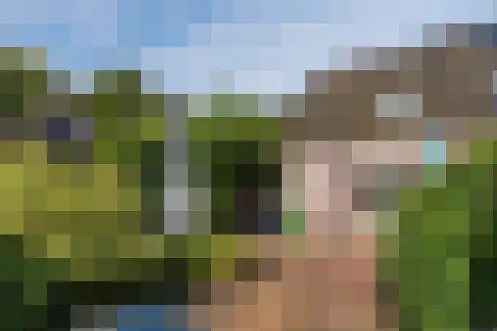 Ir. E. Biewingaweg 6 Witteveen thumbnail 40