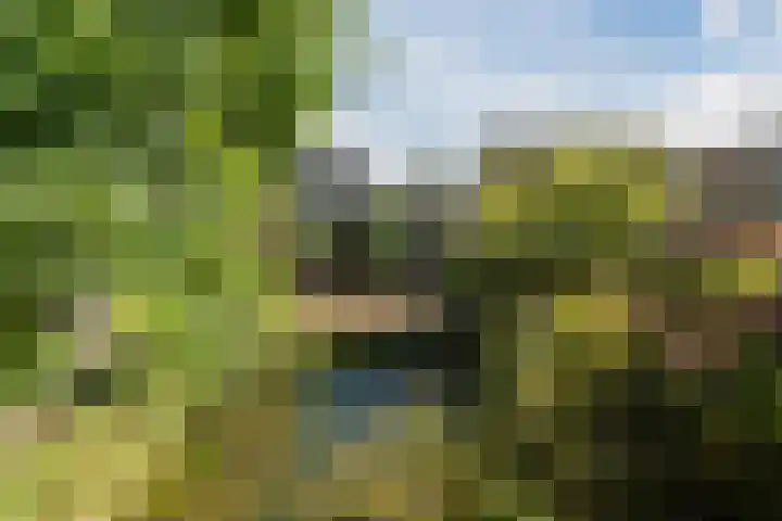 Ir. E. Biewingaweg 6 Witteveen thumbnail 41