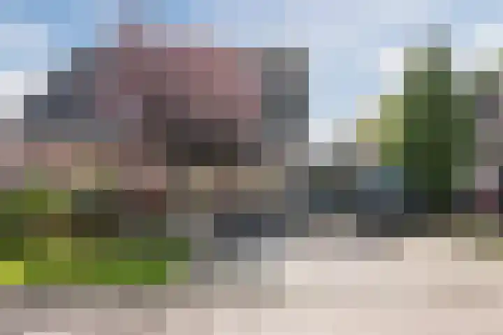 Ir. E. Biewingaweg 6 Witteveen thumbnail 42