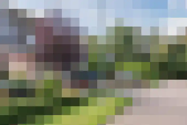 Ir. E. Biewingaweg 6 Witteveen thumbnail 43