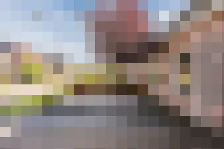 Ir. E. Biewingaweg 6 Witteveen thumbnail 44