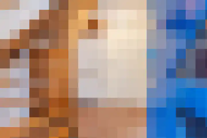 Ir. E. Biewingaweg 6 Witteveen thumbnail 5
