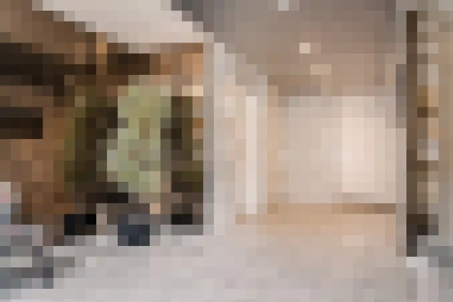 Ir E J J Kuindersstraat 11 F 1 Zandvoort thumbnail 33