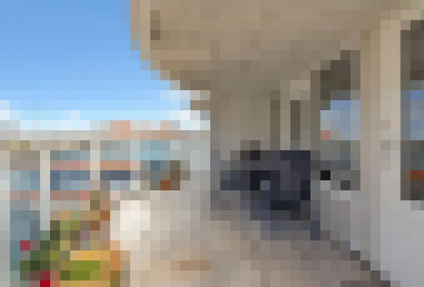 Ir E J J Kuindersstraat 9 F 3 Zandvoort thumbnail 11