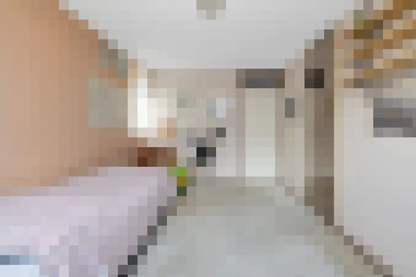 Ir E J J Kuindersstraat 9 F 3 Zandvoort thumbnail 25