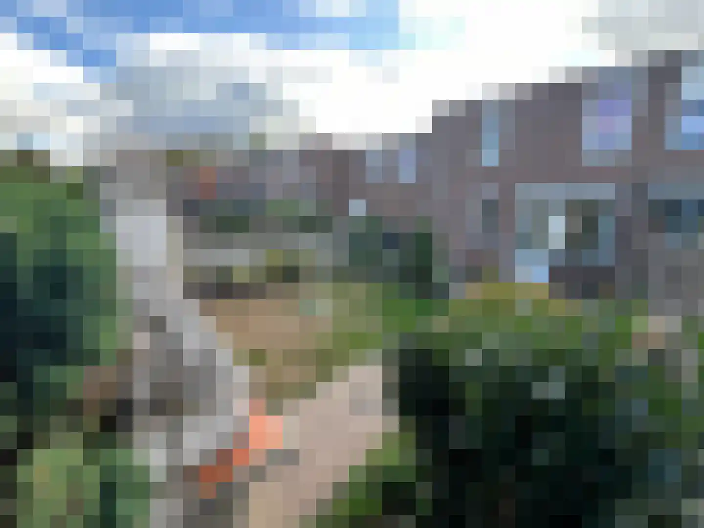 Ir Em Mélottestraat 37 Vaals thumbnail 23