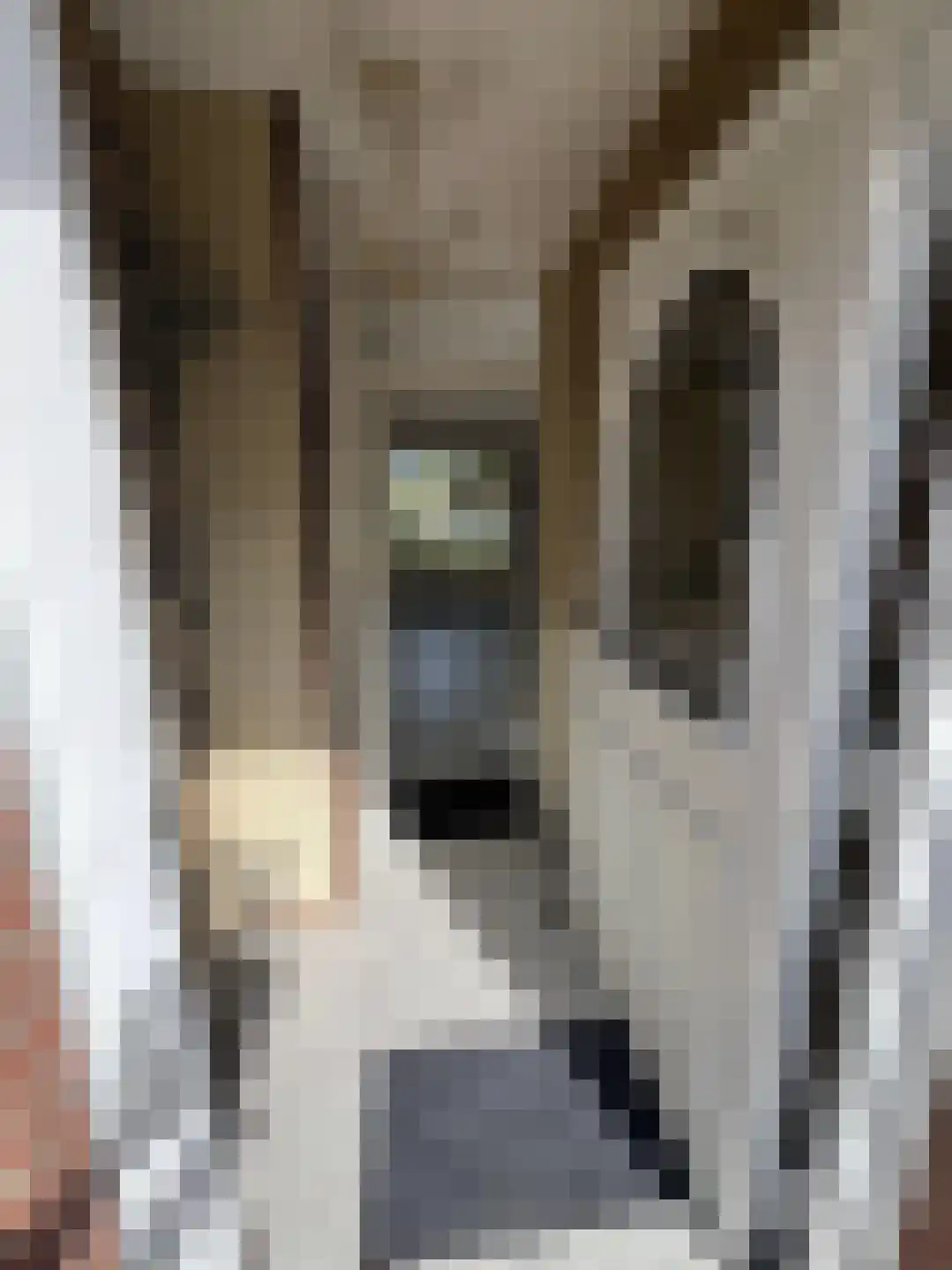 Ir Em Mélottestraat 37 Vaals thumbnail 4