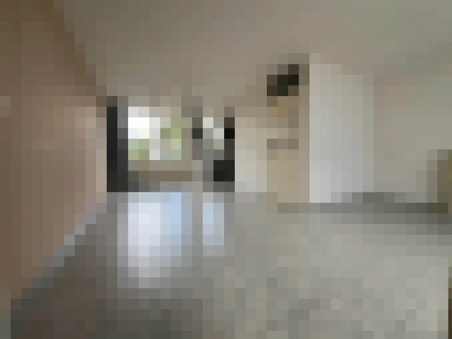 Ir Em Mélottestraat 37 Vaals thumbnail 5