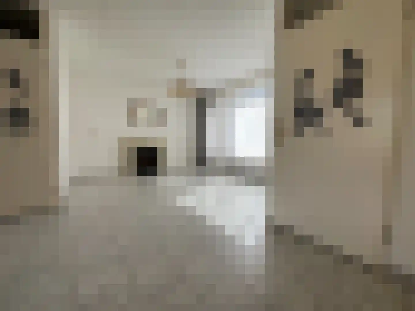 Ir Em Mélottestraat 37 Vaals thumbnail 6