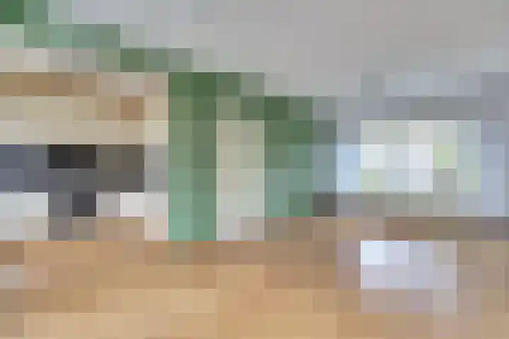 Ir. F.W. Conradstraat 37 Nieuwegein thumbnail 6