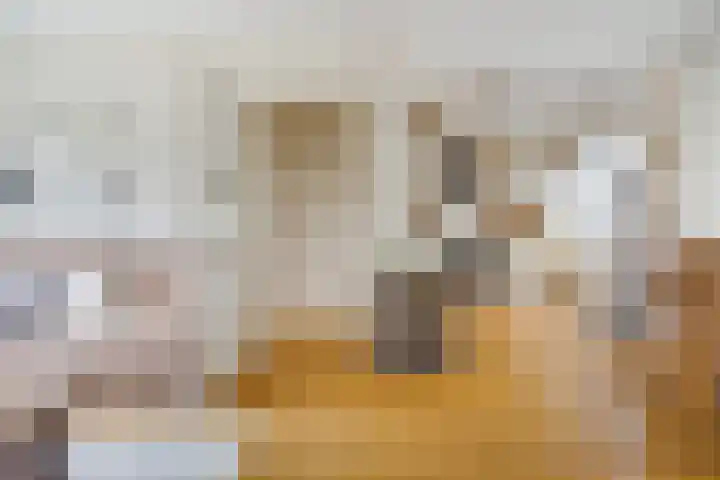 Ir. F.W. Conradstraat 72 Nieuwegein thumbnail 16