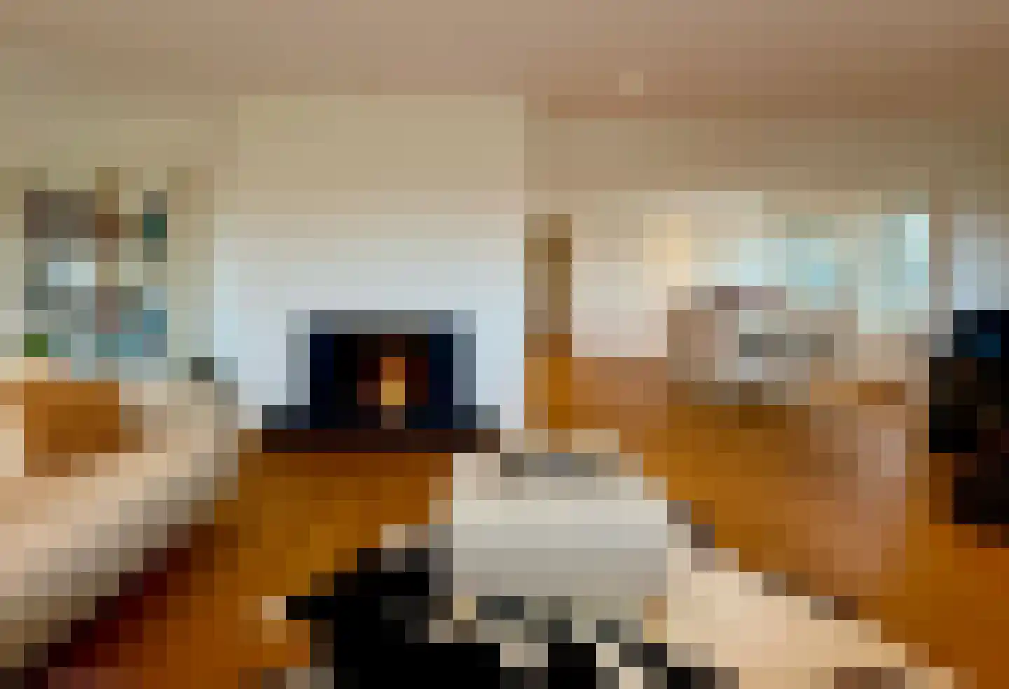 Ir G Friedhoffplein 18 F 4 Zandvoort thumbnail 17