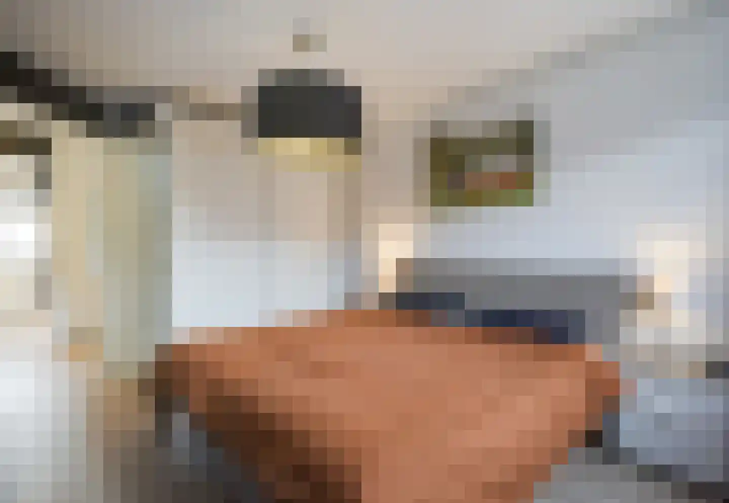 Ir H.H. van Kollaan 18 Rijswijk thumbnail 15