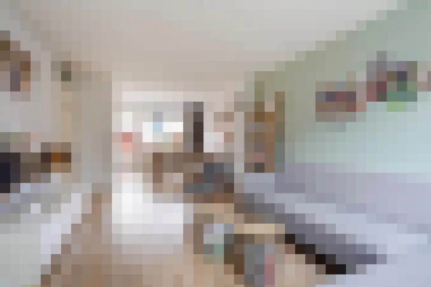 Ir H.H. van Kollaan 18 Rijswijk thumbnail 8