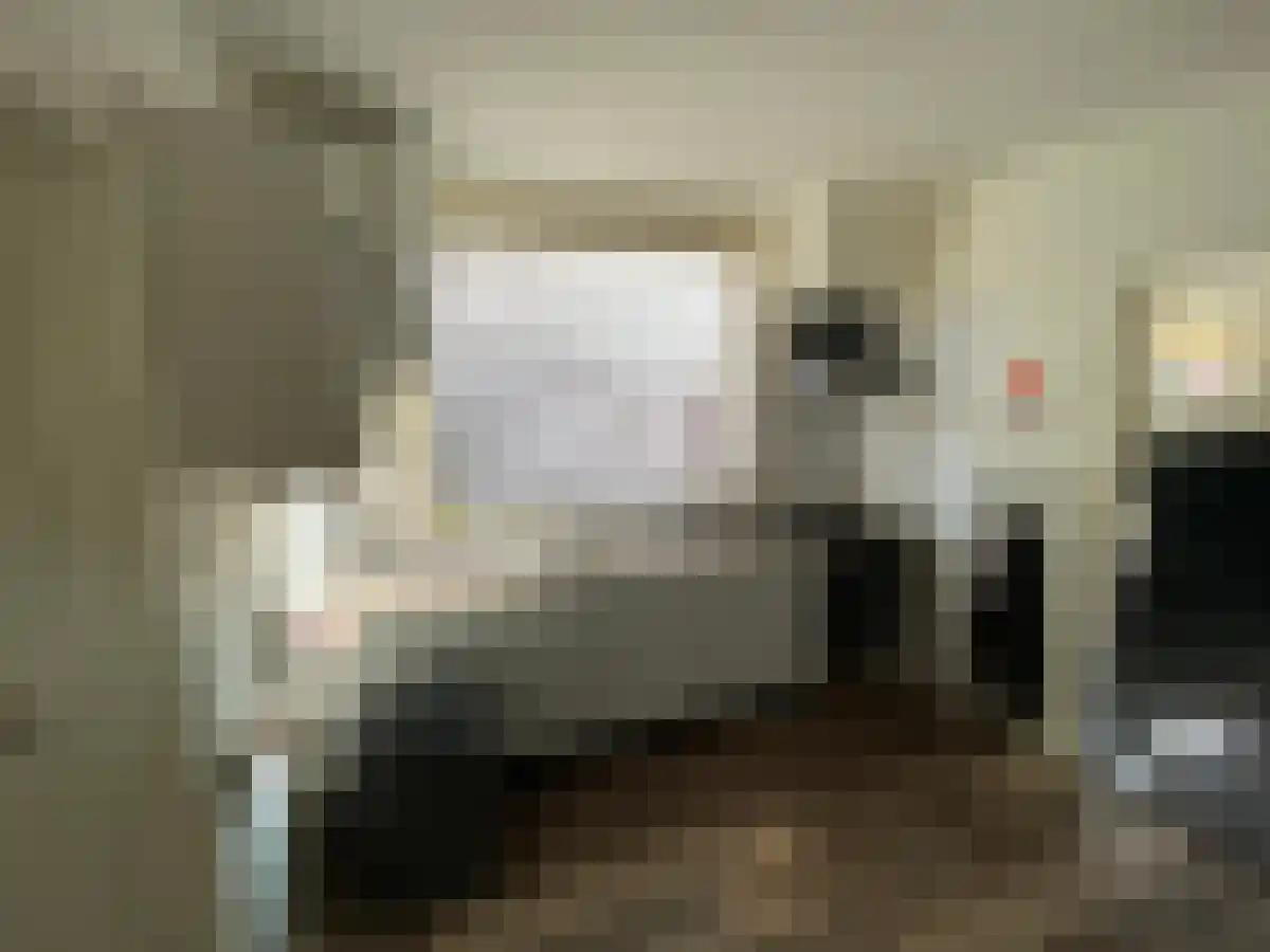 Ir. Herman de Grootweg 26 Spijkenisse thumbnail 5