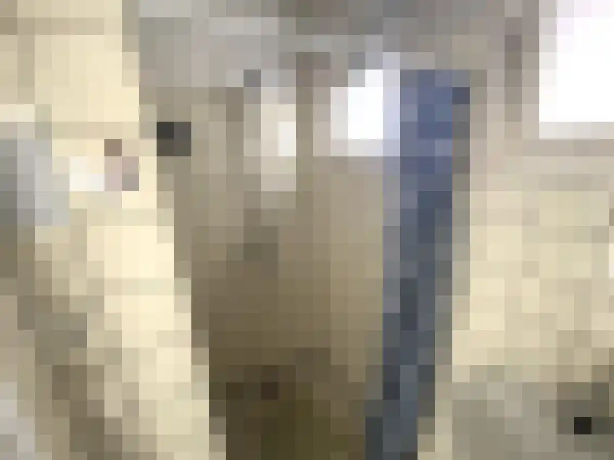 Ir. Herman de Grootweg 26 Spijkenisse thumbnail 6