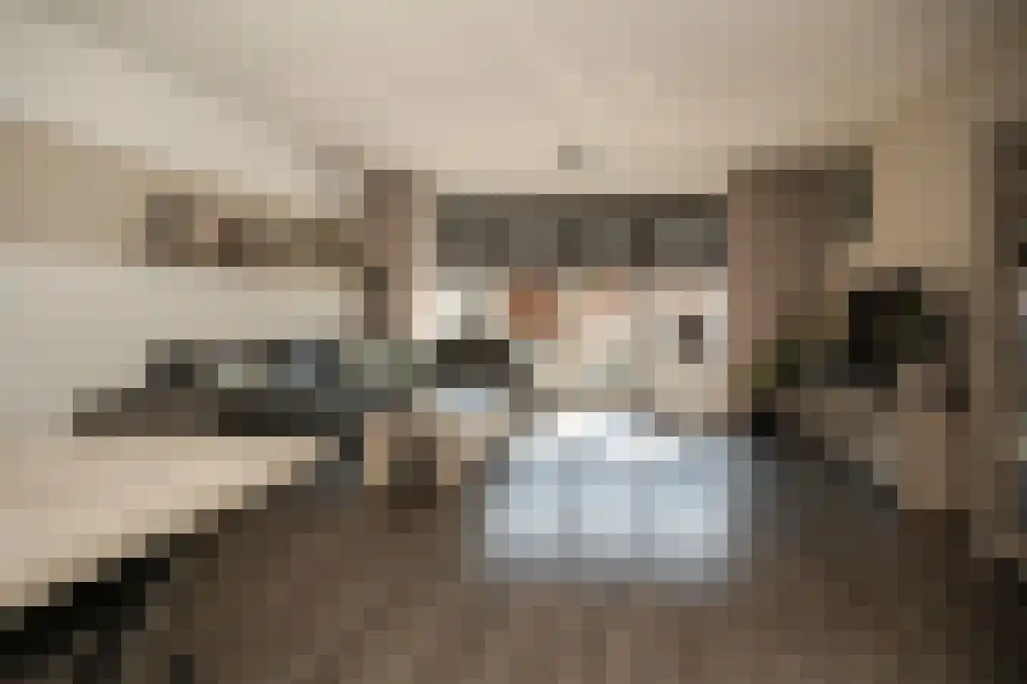 Ir J H van Stuivenbergstraat 15 Kesteren thumbnail 12