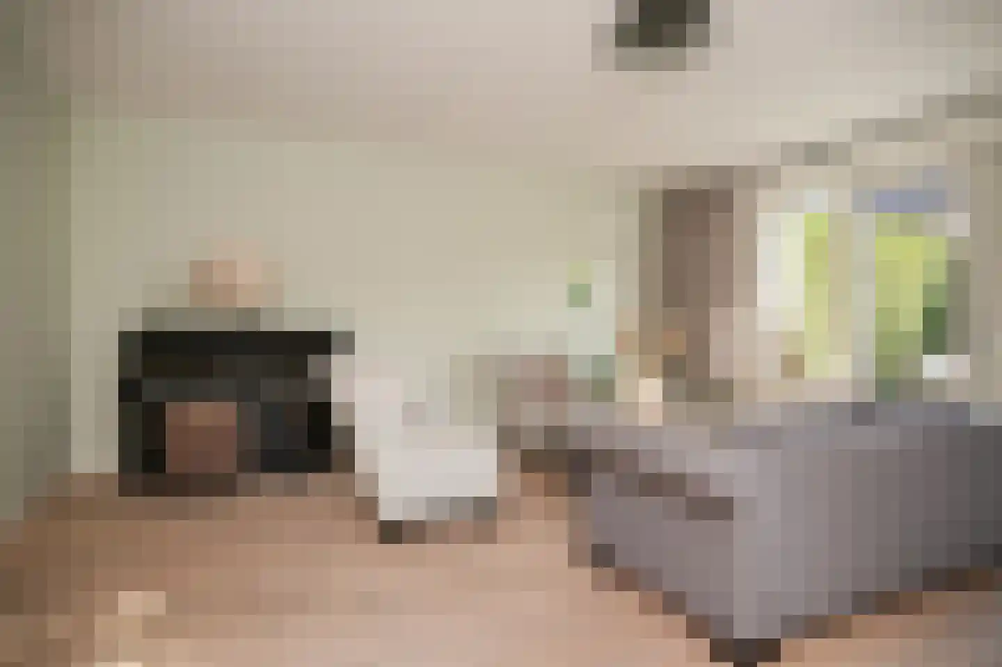 Ir J H van Stuivenbergstraat 17 Kesteren thumbnail 12