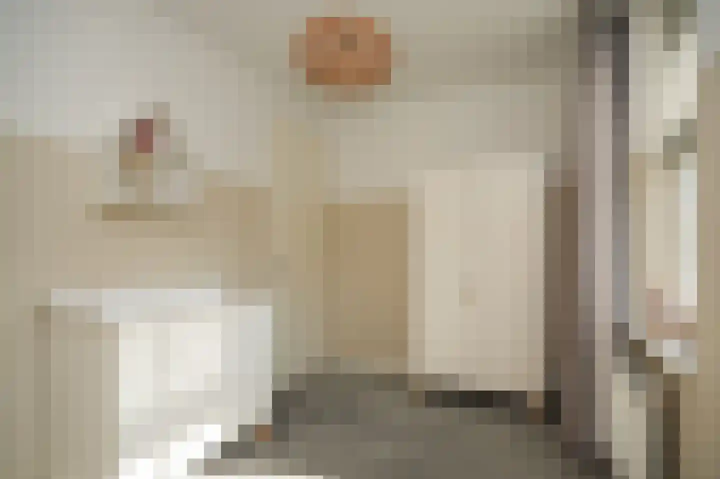 Ir J H van Stuivenbergstraat 17 Kesteren thumbnail 27
