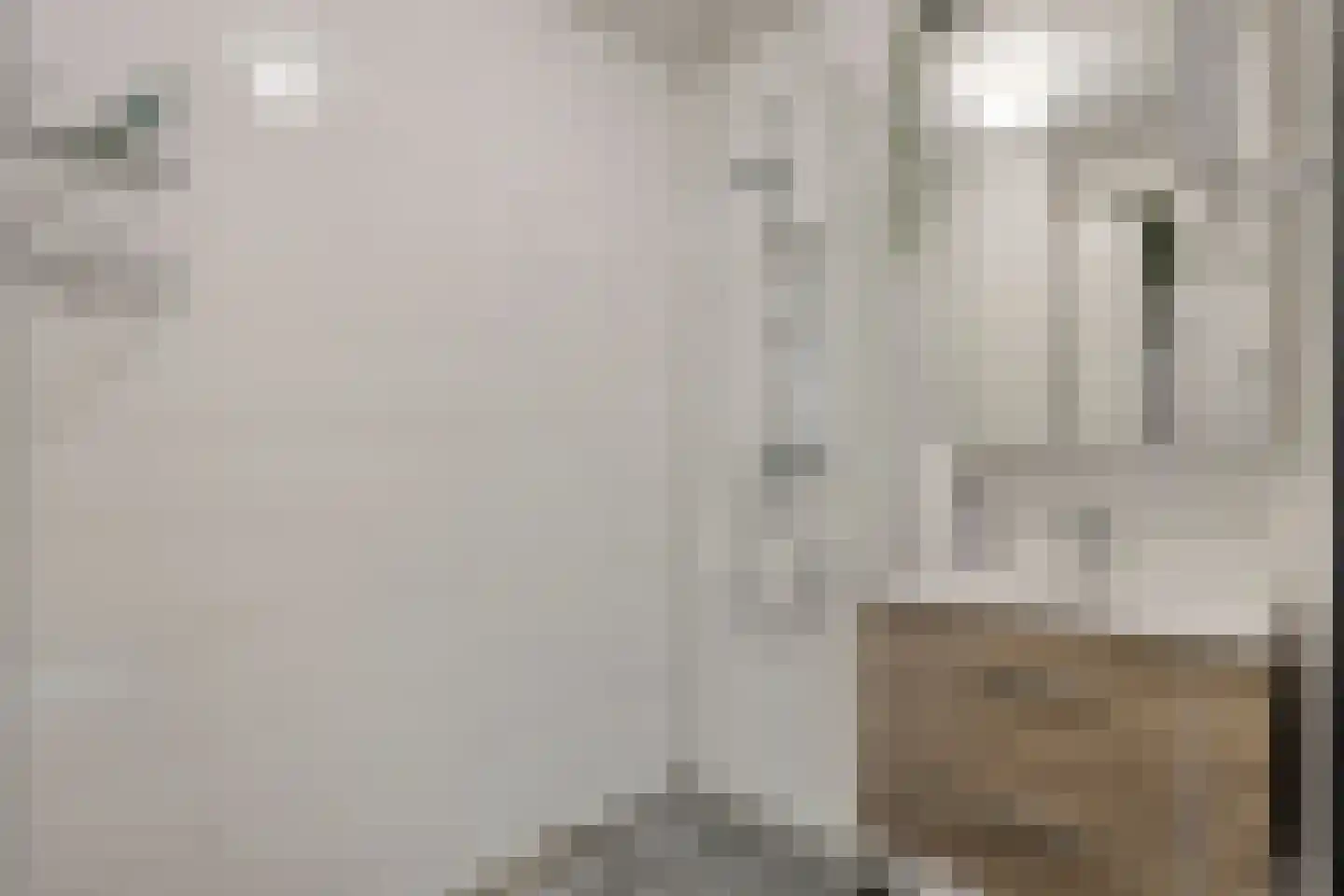 Ir J.P. van Muijlwijkstraat 192 Arnhem thumbnail 19