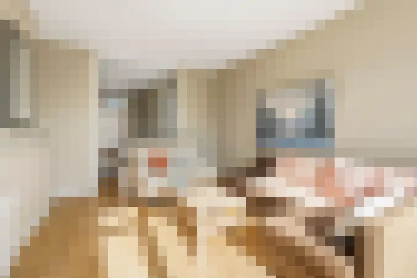 Ir J.P. van Muijlwijkstraat 45 2 Arnhem thumbnail 17