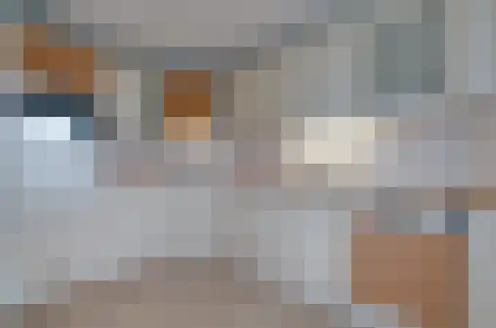 Ir. J.W. Albardastraat 60 Assen thumbnail 8