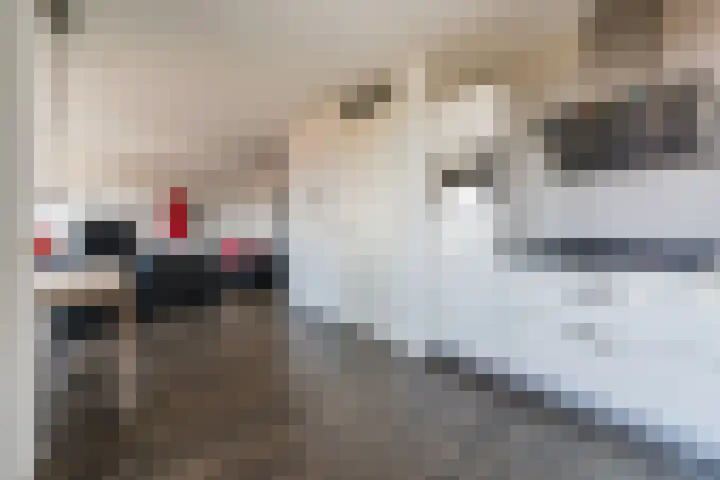 Ir Kalffstraat 213 Eindhoven thumbnail 18