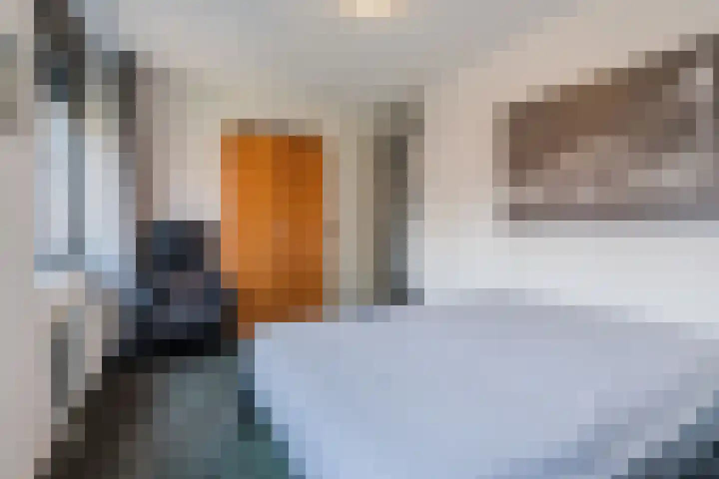 Ir Kalffstraat 213 Eindhoven thumbnail 27