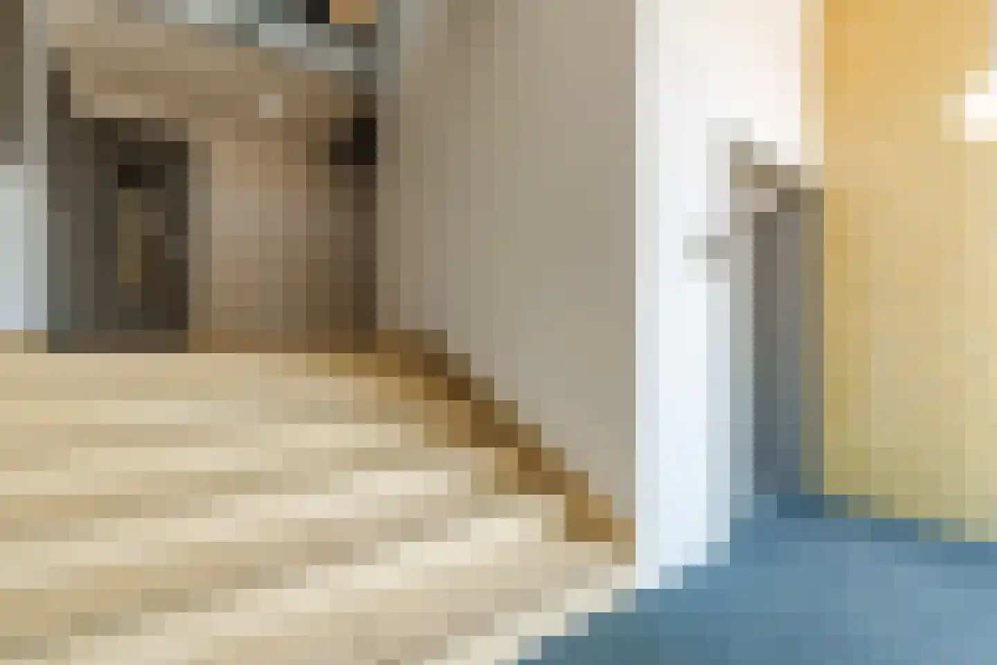 Ir Kalffstraat 213 Eindhoven thumbnail 32