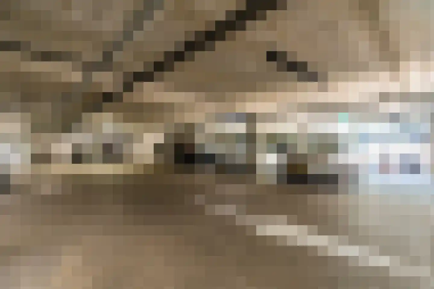 Ir Kalffstraat 213 Eindhoven thumbnail 34