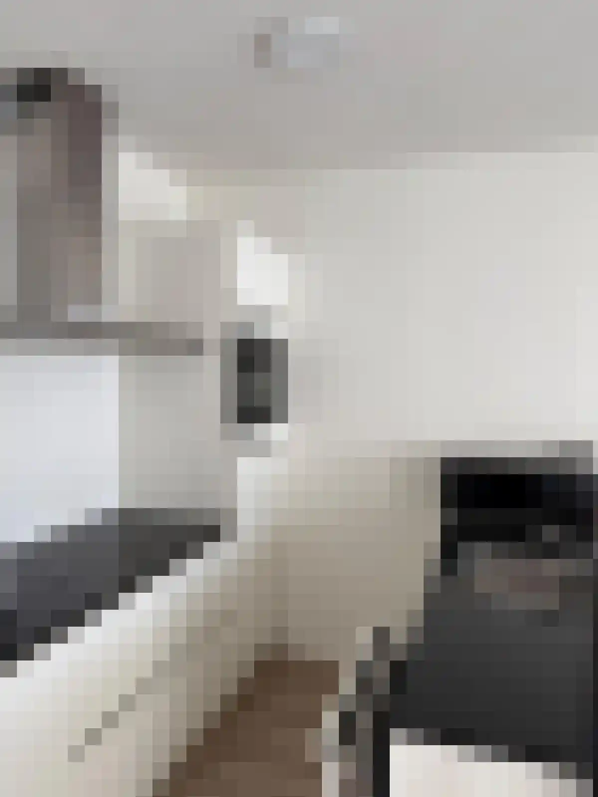 Ir Kalffstraat 282 Eindhoven thumbnail 5