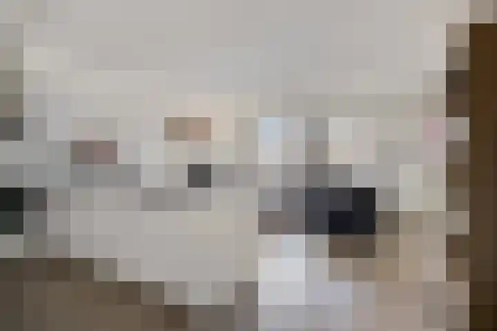 Ir Kalffstraat 295 Eindhoven thumbnail 10