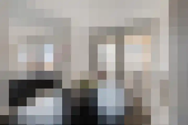 Ir Kalffstraat 295 Eindhoven thumbnail 15