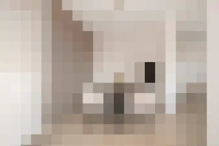 Ir Kalffstraat 295 Eindhoven thumbnail 16