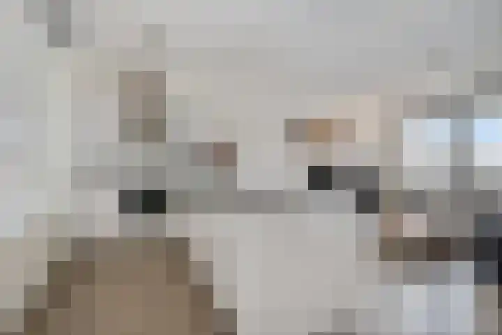 Ir Kalffstraat 295 Eindhoven thumbnail 17