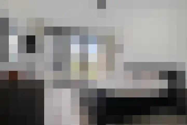 Ir Kalffstraat 295 Eindhoven thumbnail 25