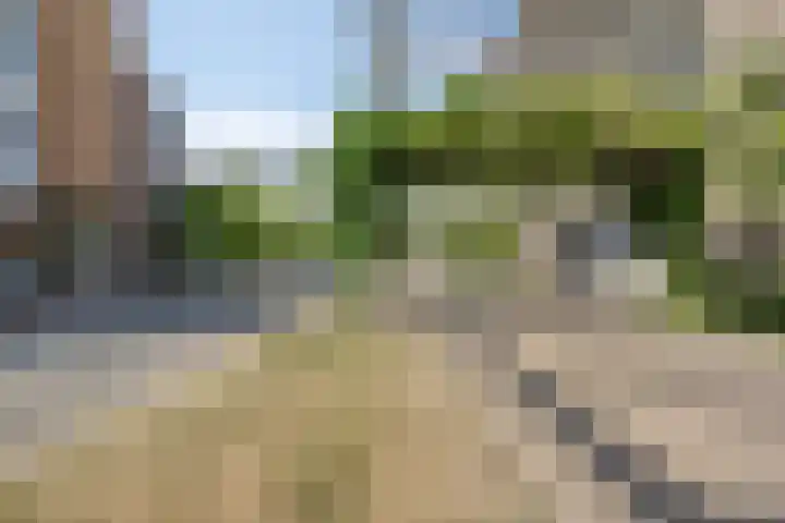 Ir Kalffstraat 295 Eindhoven thumbnail 33