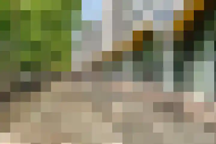 Ir Kalffstraat 295 Eindhoven thumbnail 35