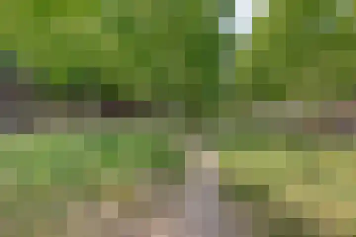 Ir Kalffstraat 295 Eindhoven thumbnail 37