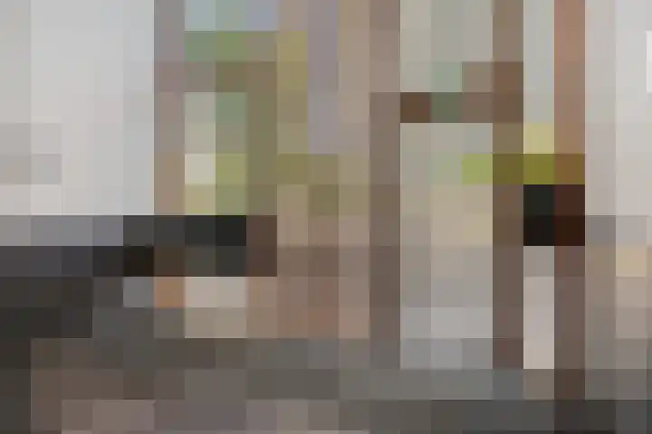 Ir Kalffstraat 295 Eindhoven thumbnail 6