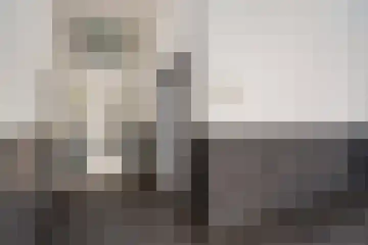 Ir Kalffstraat 295 Eindhoven thumbnail 7