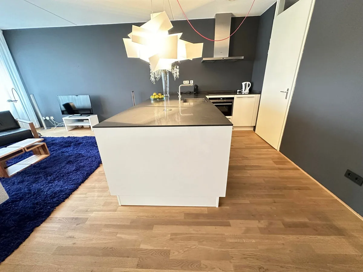 Ir Kalffstraat 309 Eindhoven thumbnail 6